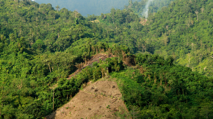 Pelestarian Hutan di Kaltara Butuh Dukungan Dunia
