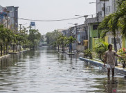 BMKG Peringatkan Banjir Rob di Pesisir Utara Jawa pada 18 - 25 November