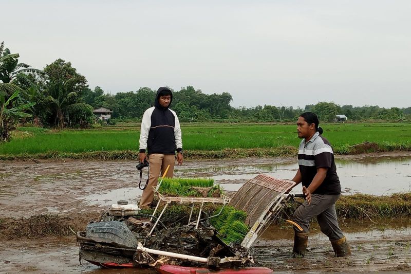 Kemarau 2026: Pemerintah Genjot Teknologi Hemat Air dan Pola Tanam Efisien Jaga Target Swasembada