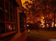 Negara Bagian Terpadat di Australia Nyatakan Darurat Kebakaran Hutan