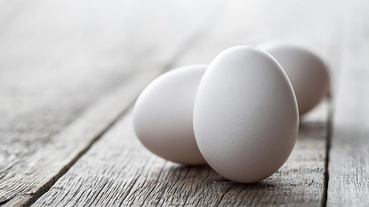 telur