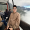 Frengky Aruan