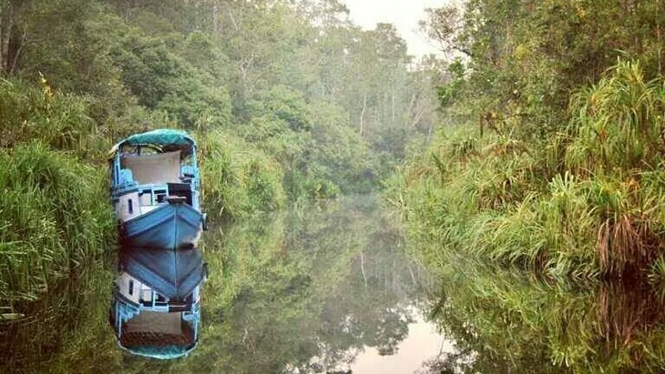 Misteri Tenggelamnya Kapal Klotok di Sungai Sekonyer