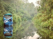 Misteri Tenggelamnya Kapal Klotok di Sungai Sekonyer