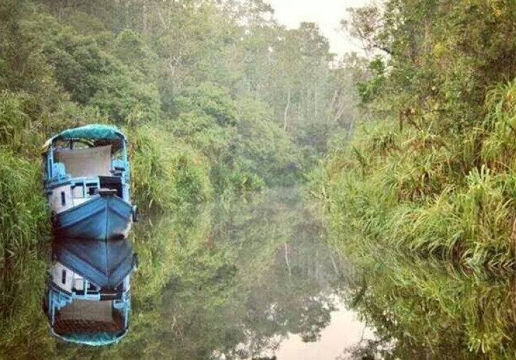 Misteri Tenggelamnya Kapal Klotok di Sungai Sekonyer