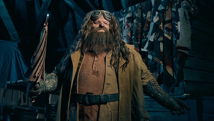 Pemeran Hagrid di Harry Potter, Robbie Coltrane, Tutup Usia