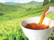 Teh Ceylon Sumber Terbaik Antioksidan Alami  