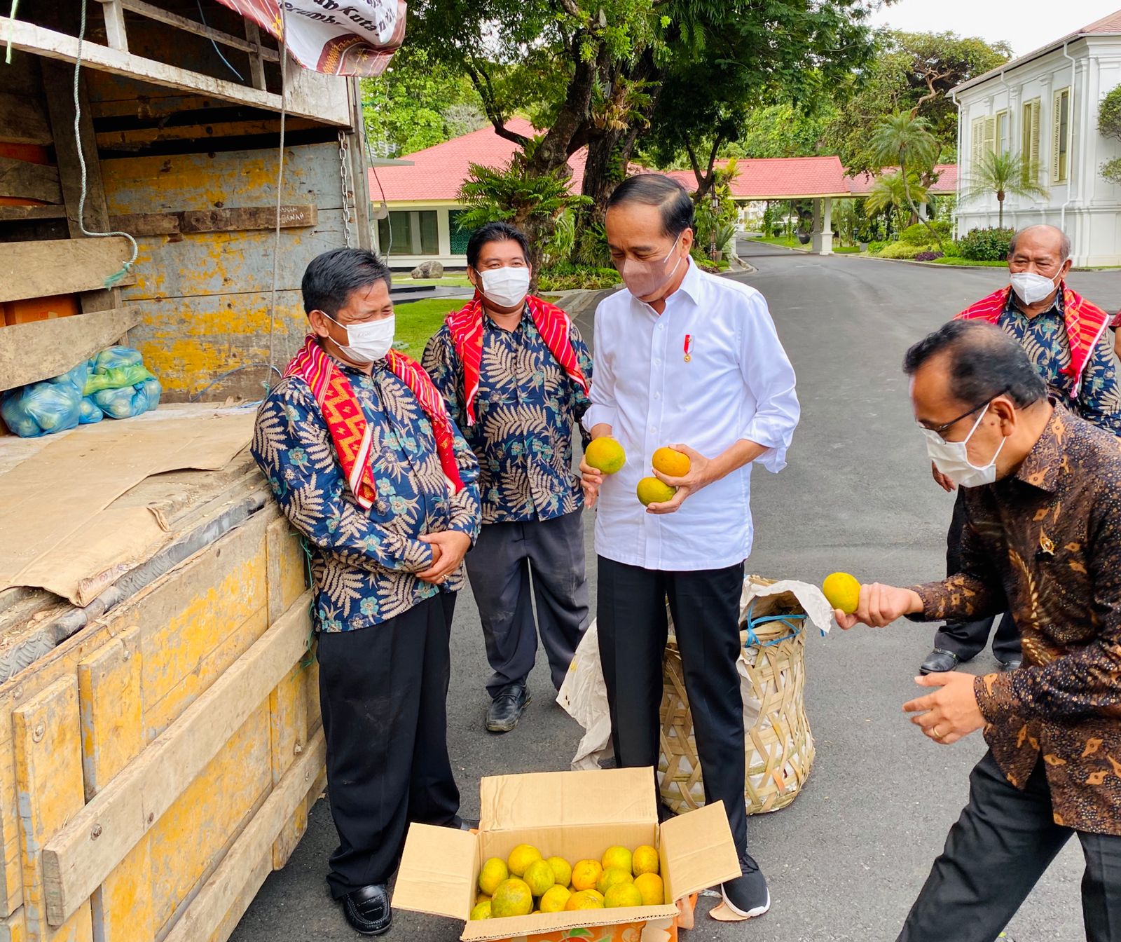 Jokowi Tinjau Jalan Rusak Yang Dikeluhkan Petani Jeruk Karo Saat ke Istana