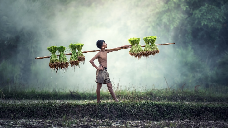 Mecaq Undat, Ungkapan Rasa Syukur Suku Dayak Saat Panen
