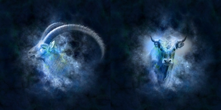 zodiak