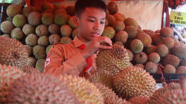 Pengunjung memilih buah durian dalam festival bertajuk 'Mendem Duren' atau Mabuk Durian di depan Balai Kota Malang, Jawa Timur, Jumat (13/4). Festival yang digelar selama tiga hari sebagai upaya memperkenalkan cita rasa buah durian lokal tersebut melibatkan sekitar 60 petani durian. ANTARA FOTO/Ari Bowo Sucipto/kye/18.