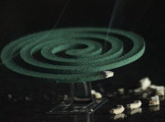 Bahayanya Obat Nyamuk Bakar bagi Kesehatan