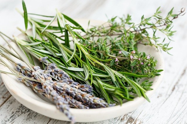 Rosemary oil bermanfaat untuk mencegah tumbuhnya uban. (Foto pixabat/gate74)
