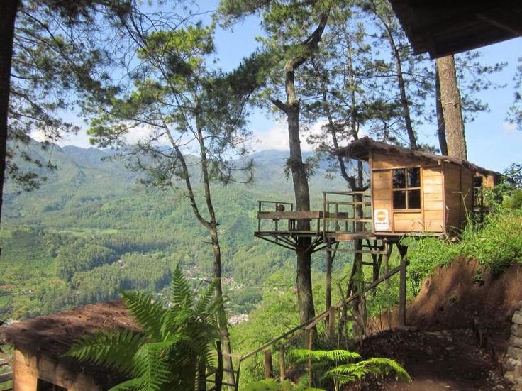 Omah Kayu, tempat wisata Malang. (Instagram/thisisinstagram)