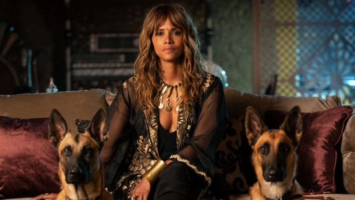 Halle Berry Bocorkan Bahwa Sofia, Karakternya di John Wick, Mungkin Akan Dibuatkan Film Sendiri