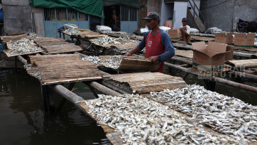 Produksi Ikan Asin Nelayan Muara Angke Terkendala Banjir Rob 