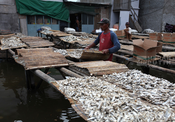 Produksi Ikan Asin Nelayan Muara Angke Terkendala Banjir Rob 