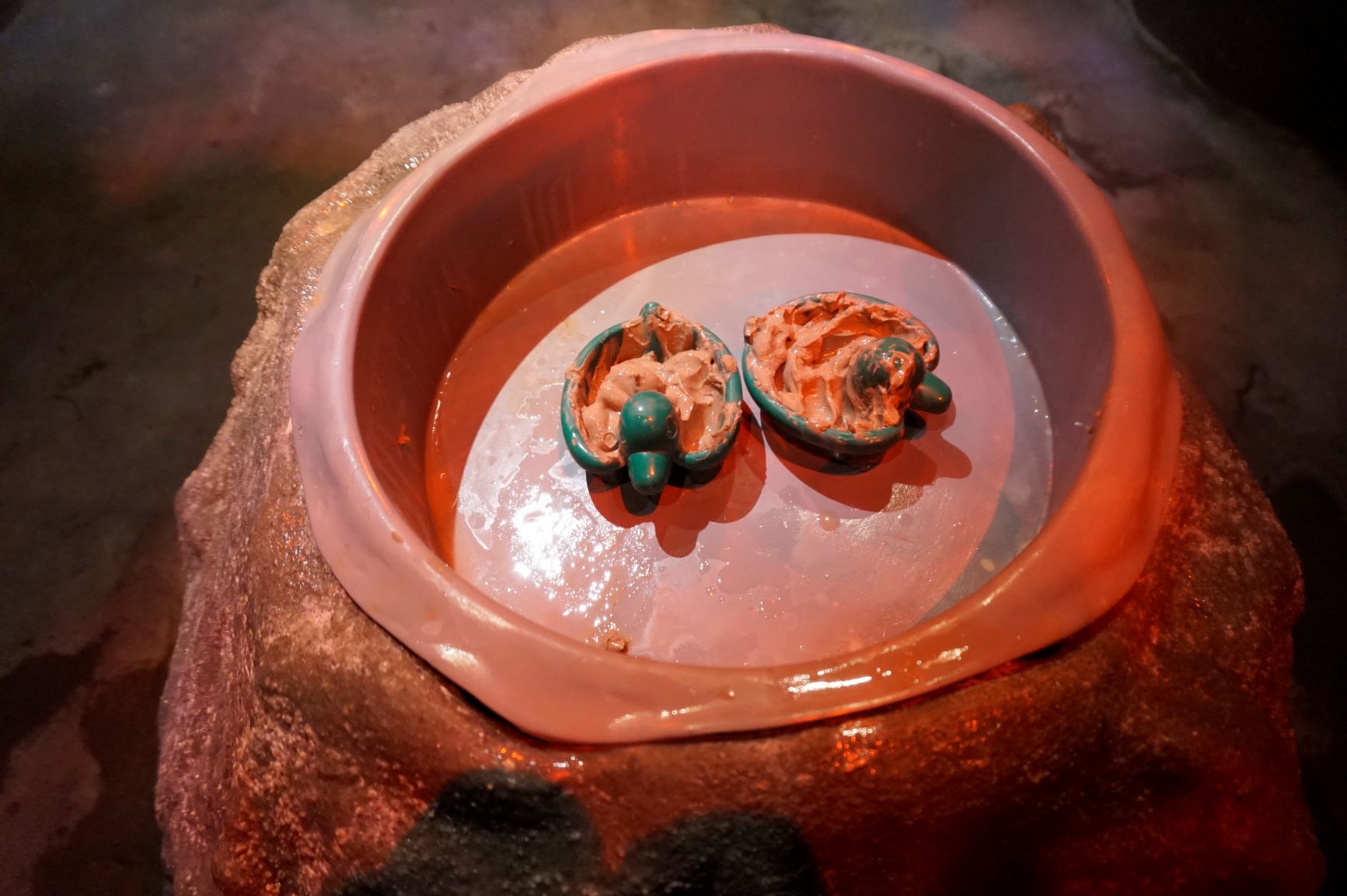 Acquaree Spa Journey