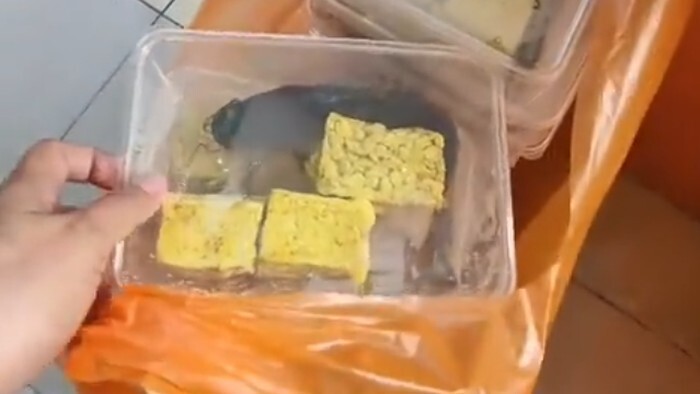 Viral Menu MBG Lele Mentah, BGN Hentikan Operasional SPPG di Pamekasan
