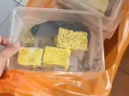 Viral Menu MBG Lele Mentah, BGN Hentikan Operasional SPPG di Pamekasan