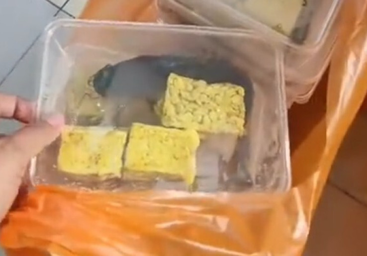 Viral Menu MBG Lele Mentah, BGN Hentikan Operasional SPPG di Pamekasan