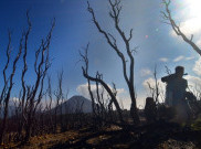 Basarnas Temukan Tiga Pendaki yang Hilang di Gunung Bawakaraeng