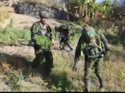Temuan Ladang Ganja di Yahukimo, Diduga Jadi Sumber Dana Operasional OPM