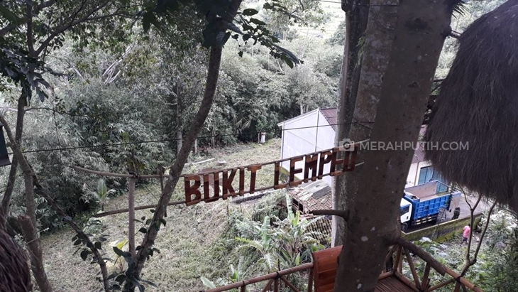Ingin Mencoba Makan di Atas Pohon, Datangi Rumah Pohon Bukit Lemped
