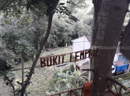 Ingin Mencoba Makan di Atas Pohon, Datangi Rumah Pohon Bukit Lemped