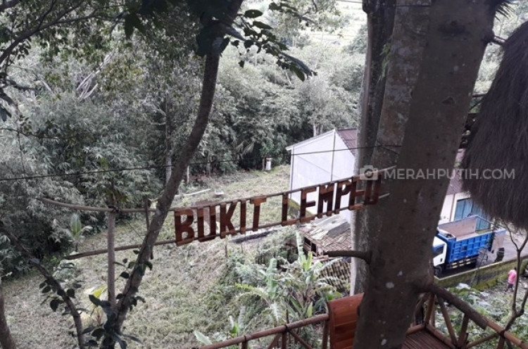 Ingin Mencoba Makan di Atas Pohon, Datangi Rumah Pohon Bukit Lemped