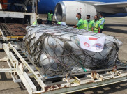 200 Tabung Oksigen Tertahan di Bandara, Ketua Satgas COVID-19: Seharusnya Dipermudah