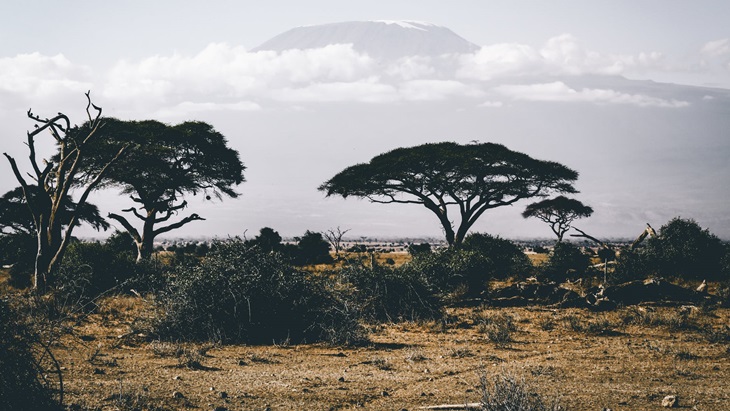 Perlengkapan yang Perlu Kamu Persiapkan Sebelum Berwisata Safari Ke Afrika