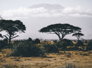 Perlengkapan yang Perlu Kamu Persiapkan Sebelum Berwisata Safari Ke Afrika