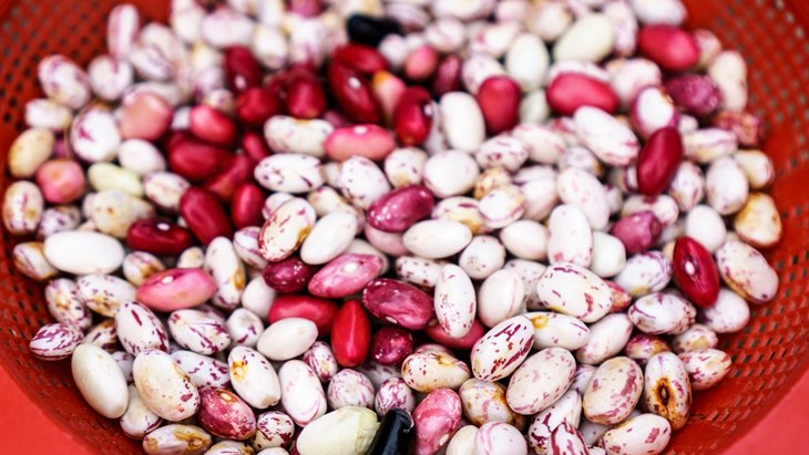 kacang
