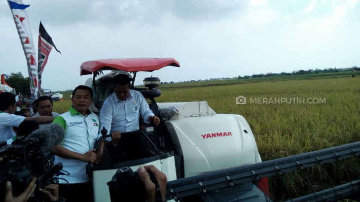 Hadiri Panen Raya, Mentan: Sudah Tiga Tahun Kita Tidak Impor Beras