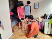 Pj Heru Didesak Keluarkan SE Antisipasi Kasus Rabies