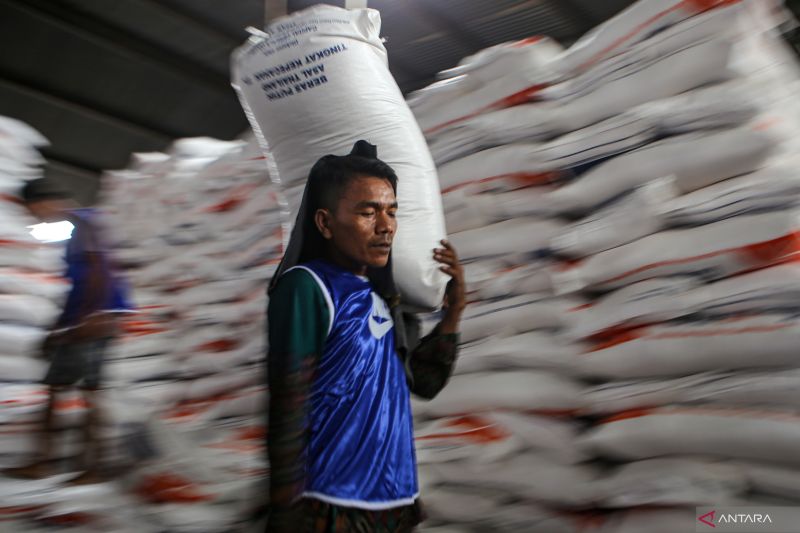 Harga Beras Premium Rata Rata Rp 15.010 Per Kg Jelang Akhir Tahun