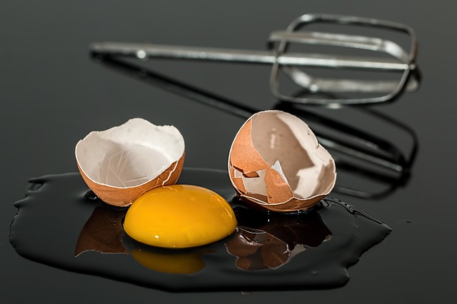 kolesterol pada telur