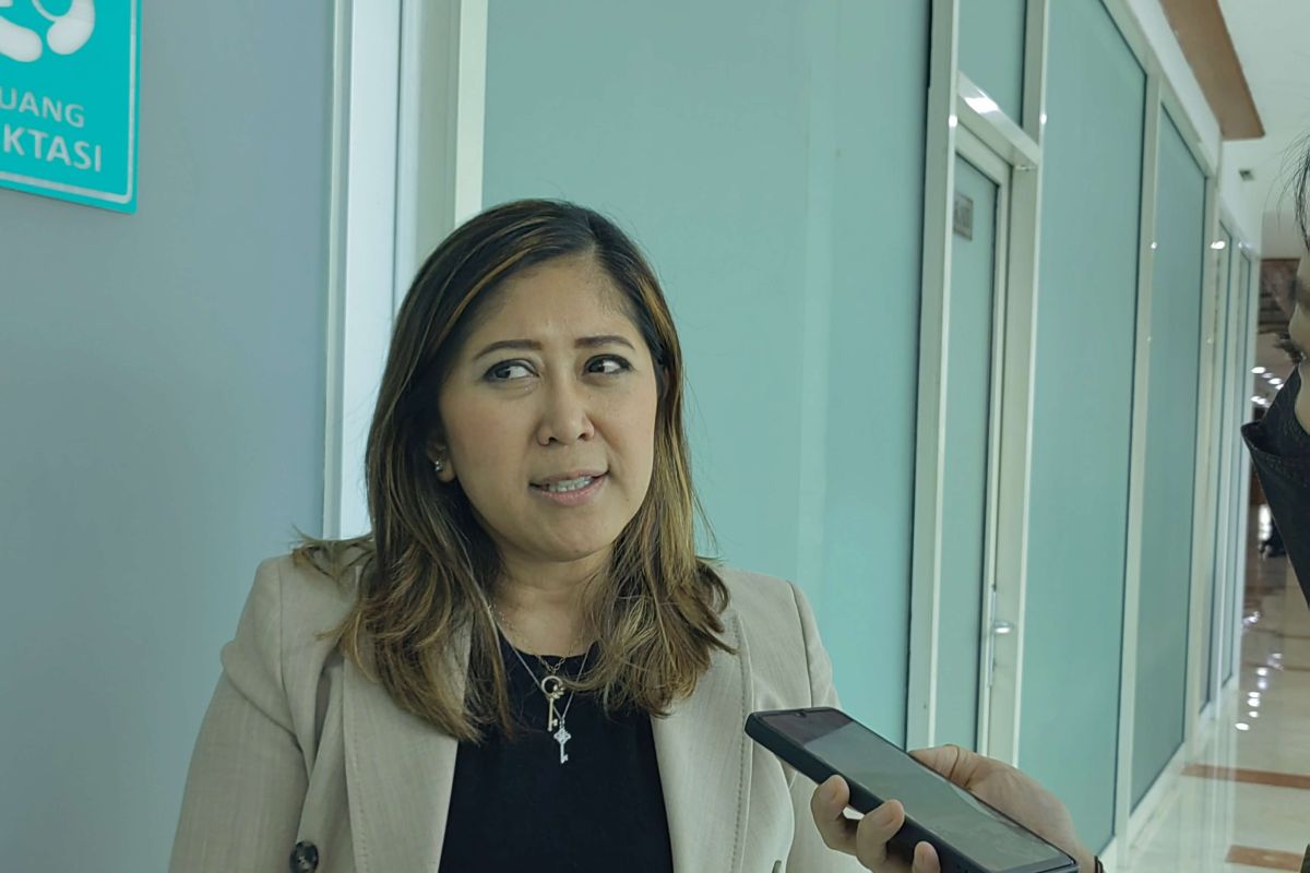 TKN Luruskan Omongan Jokowi Presiden Boleh Kampanye: Beliau Masih Netral