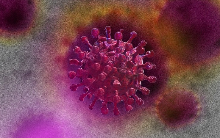 LIPI: Coronavirus Lebih Lambat Mutasinya Dibanding Influenza Virus