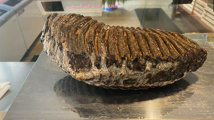 Jual Gigi Mammoth untuk Bantu Ukraina