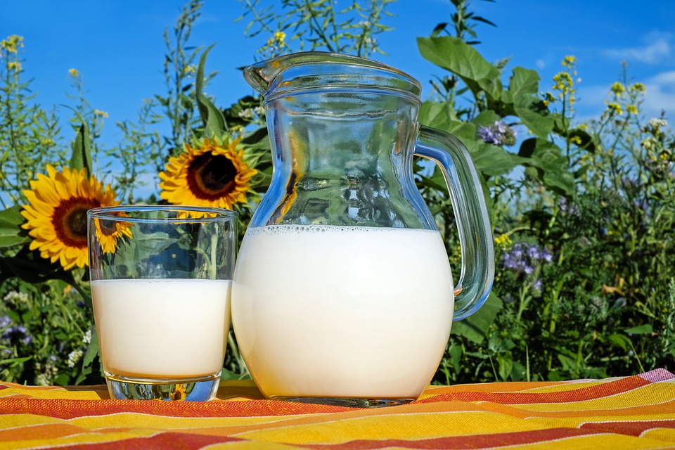 Susu bisa diawetkan dengan direbus lalu diberi madu (Sumber: Pixabay/Couleur)