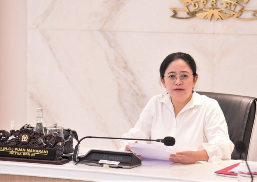 Puan Desak Pemerintah Segera Tetapkan Status KLB Ginjal Akut