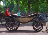 Nasib Anjing Corgi Kerajaan Inggris Sepeninggal Ratu Elizabeth II