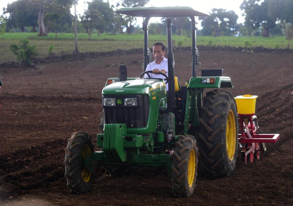 Presiden Joko Widodo saat penanaman jagung, Kecamatan Kelara, Kabupaten Jeneponto, Sulsel, Selasa (23/11/2021). (Foto: BPMI Setpres/Muchlis)