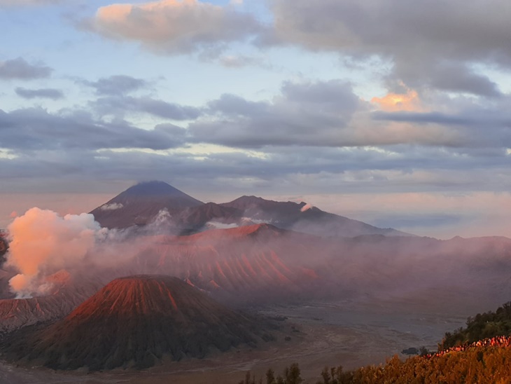 bromo