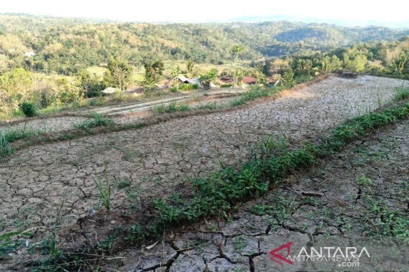 Desa Terbaik Dapat Dana Stimulus Rp 10 Miliar, Wujud Reward and Punishment Pemprov Jabar 