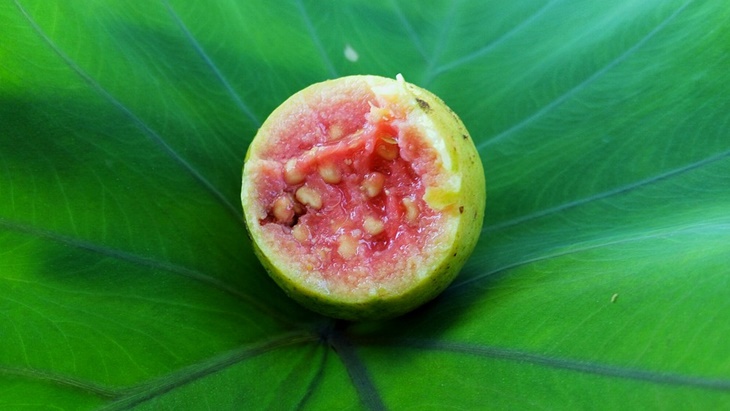 LIPI Kembangkan Minuman Fermentasi Jambu sebagai Suplemen Sistem Imun