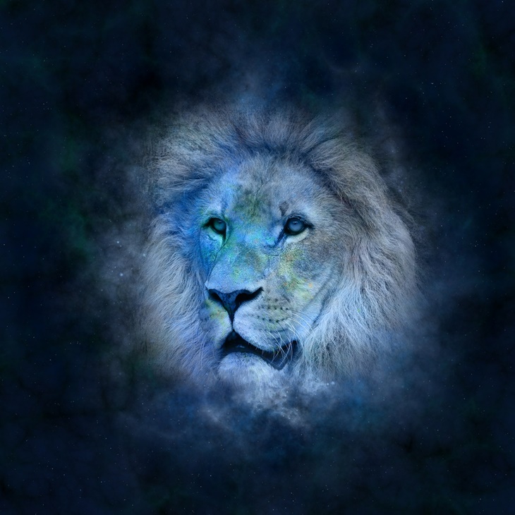 zodiak