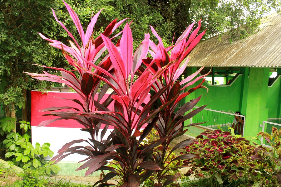 Makam Ki Abdullah Anggadirepa
